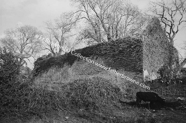 KILCOLMAN ABBEY CHURCH FROM N.W.